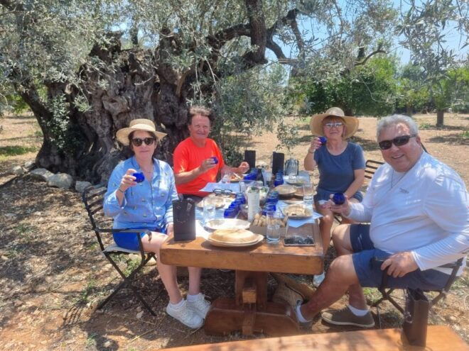 Ermioni: Olive Oil Tasting & Millennial Olive Tree Tour - Inclusions