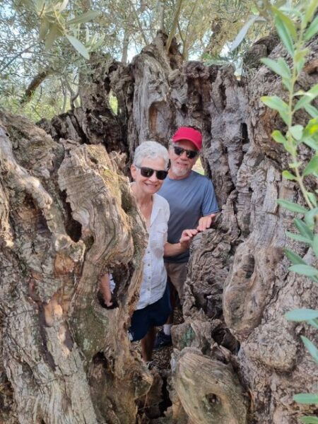 Ermioni: Olive Oil Tasting & Millennial Olive Tree Tour - Location Information