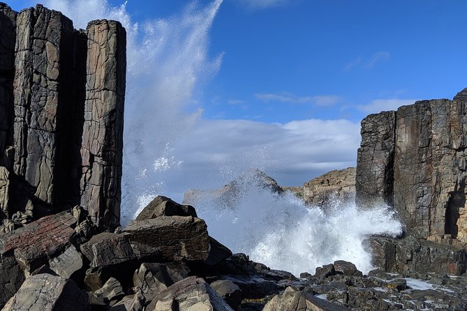 Erupting Blowholes and Ancient Rainforests SOUTH COAST OF SYDNEY PRIVATE TOUR - Exploring Ancient Rainforests