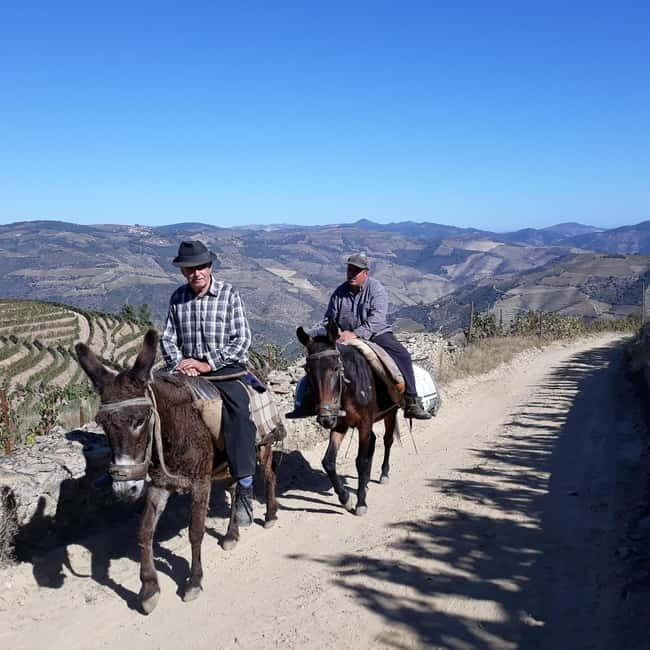 Ervedosa do Douro: Guided Walking Tour with Picnic Lunch - FAQ