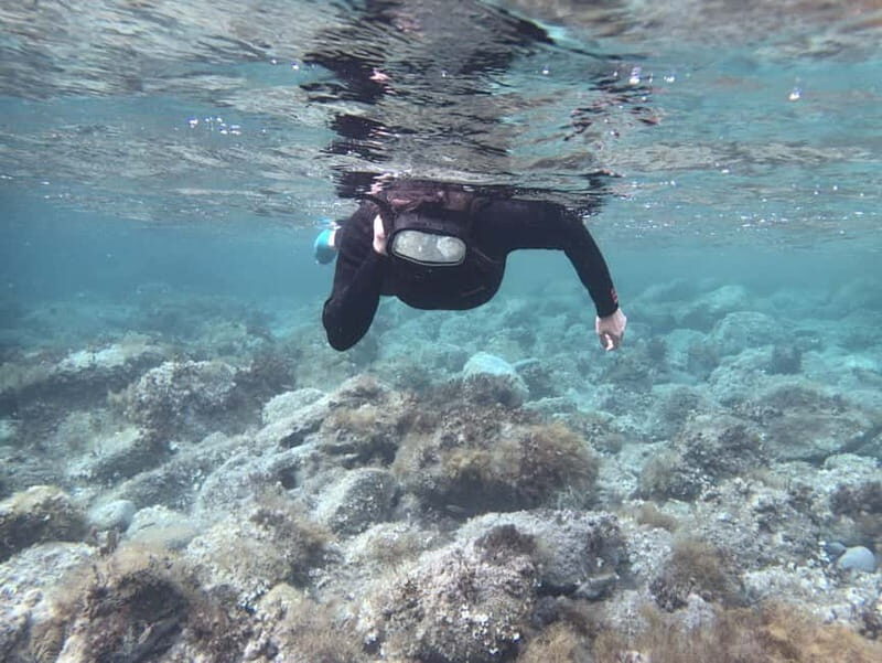 Es Grau:Private Snorkeling Experience with Picnic and Drinks - Introduction
