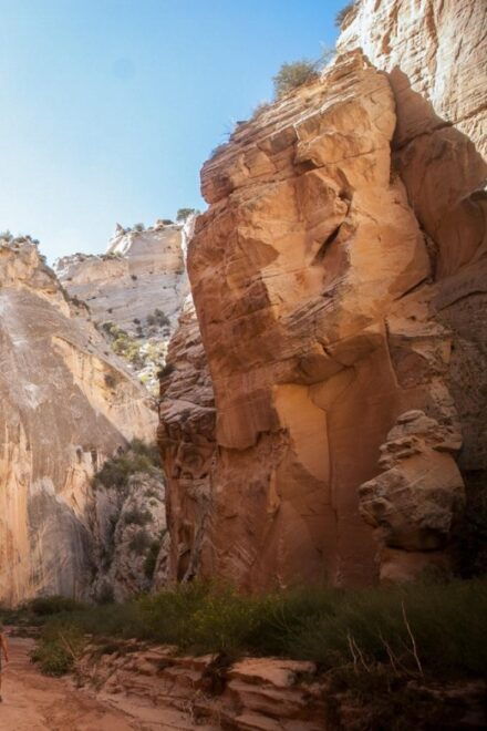 Escalante: Full-Day Private Tour & Hike - Tour Guide & Group Size