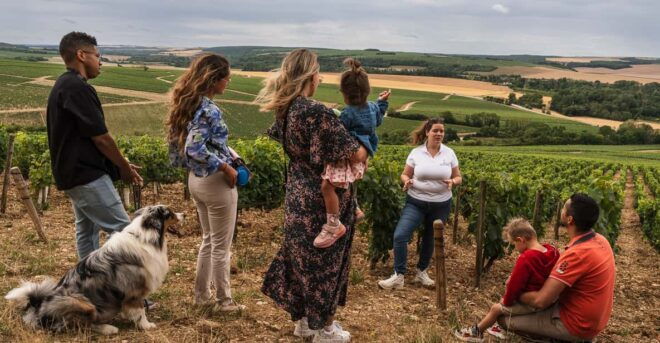 Escapade and Tasting in the Chablis Vineyards - Itinerary and Activities