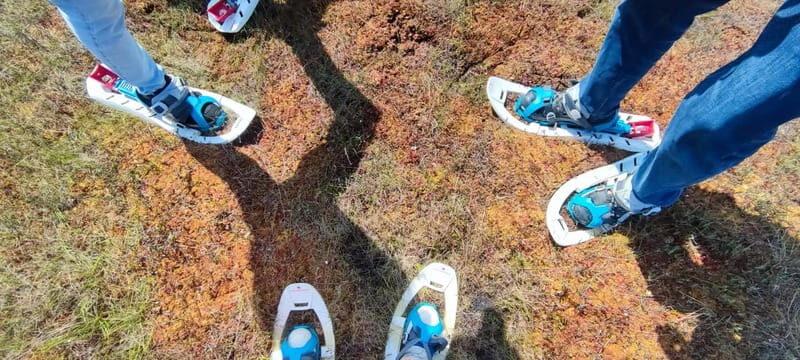 Escape from Tallinn Hike, Swim, Forage & Cuddle Sled Dogs - Engaging Review of the "Escape from Tallinn: Hike, Swim, Forage & Cuddle Sled Dogs"