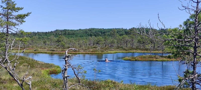 Escape from Tallinn Hike, Swim, Forage & Cuddle Sled Dogs - What Travelers Said About the Experience