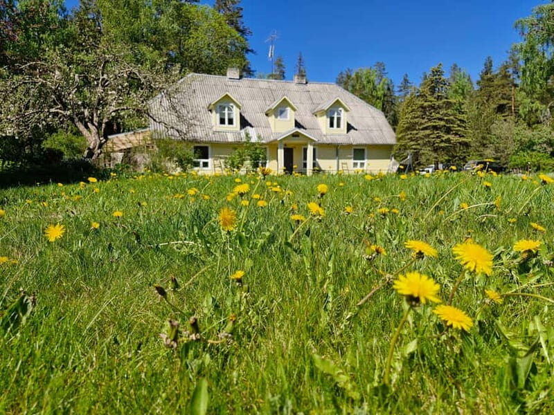 Escape from Tallinn Hike, Swim, Forage & Cuddle Sled Dogs - Is This Tour Right for You?