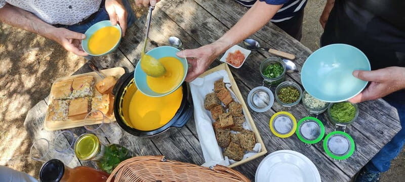 Escape from Tallinn Hike, Swim, Forage & Cuddle Sled Dogs - Final Thoughts