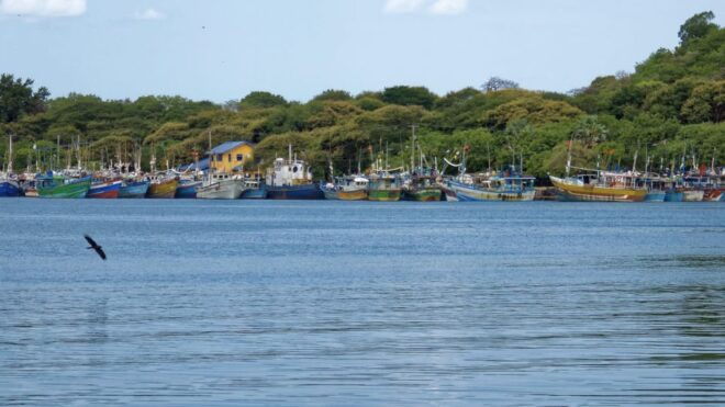 Escape Into Wilderness Jet Ski Safari - Experience Highlights