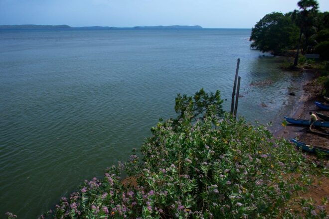 Escape Into Wilderness Jet Ski Safari - Important Considerations