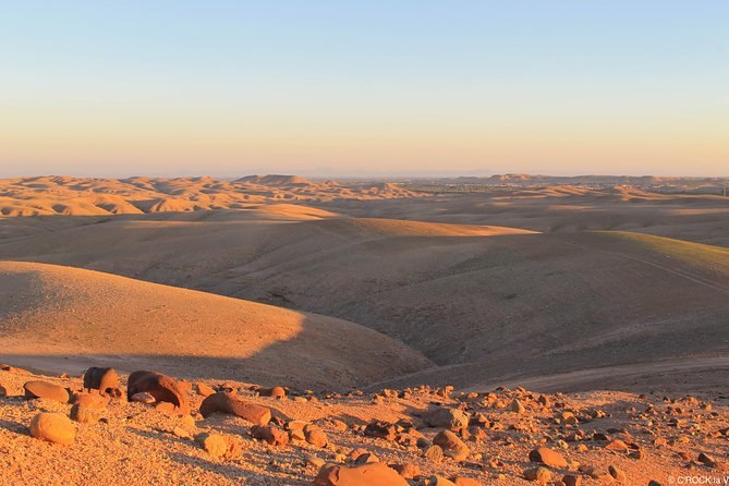 Escape Marrakech: Agafay Desert & Lalla Takerkoust Lake Day Trip" - Activities and Experiences