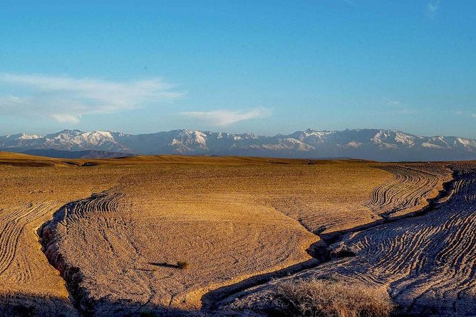 Escape Marrakech: Agafay Desert & Lalla Takerkoust Lake Day Trip" - Practical Information