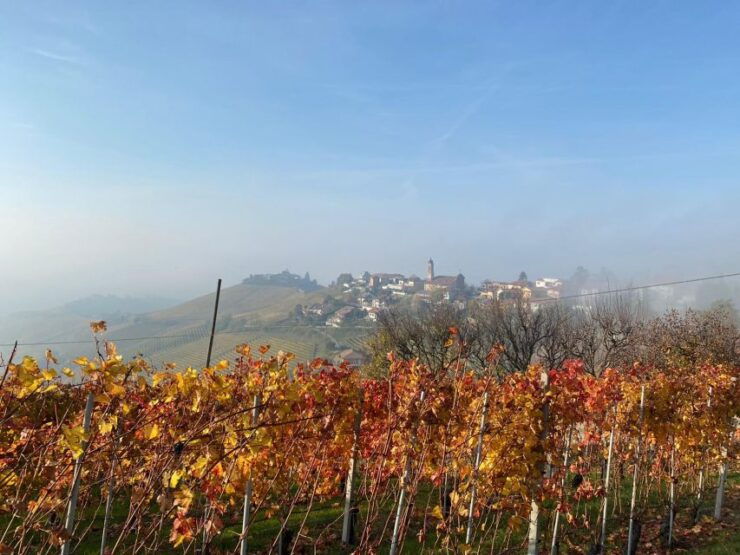 Escape on the Road to Barbaresco to Play, Visit, and Taste - Experience Highlights