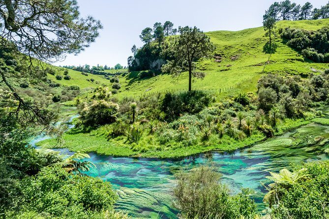 Escape Room Experience Area 54 - Why Choose This Escape Room?