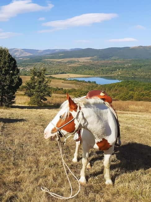 Escape Sofia: horse ride through Bulgaria´s beauty - A Closer Look at the Experience