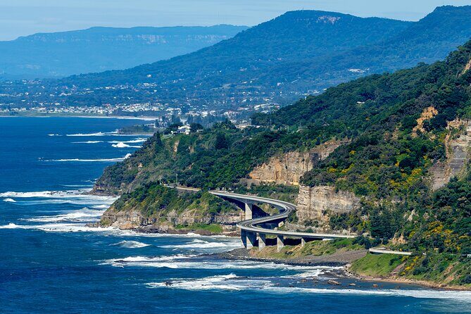 Escape Sydney: Sea Cliff Bridge, Wildlife, Kiama Coast Private - Good To Know