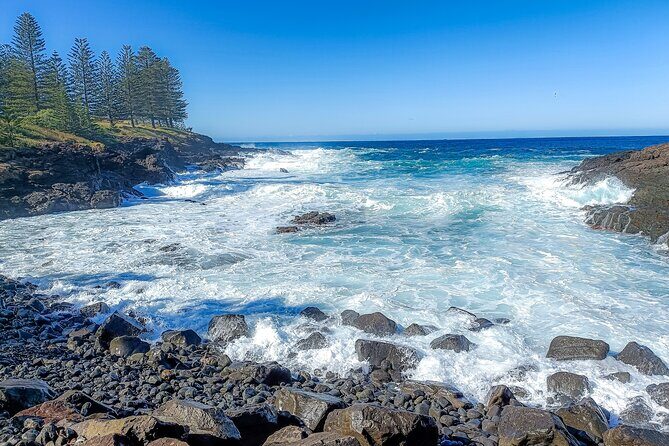 Escape Sydney: Sea Cliff Bridge, Wildlife, Kiama Coast Private - FAQ