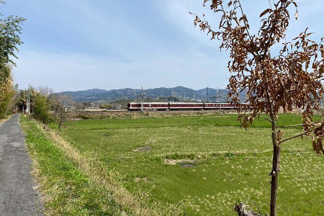 Escape the City Tea, Calligraphy and Tea Fields in Rural Kyoto - A Closer Look at the Experience