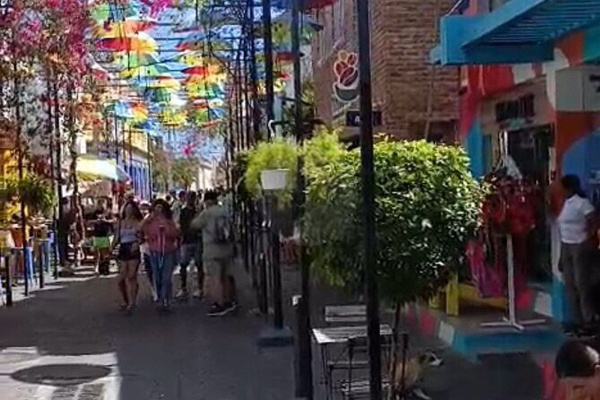 Escape to Buggies Adventure and Puerto Plata City Tour with Lunch - Practical Details and Logistics