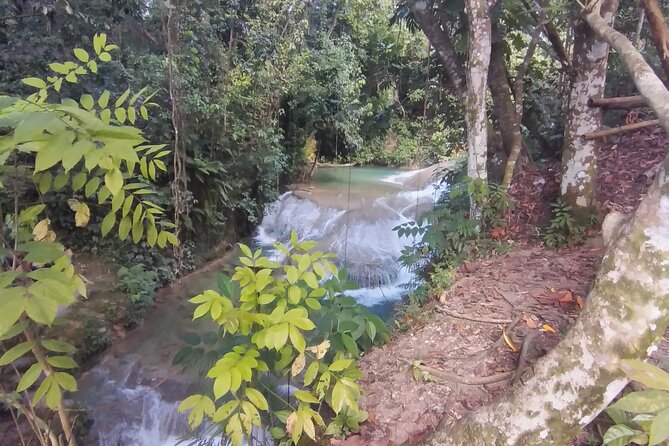 Escape to Nature at Benta River Falls From Montego Bay - Booking and Reservation Information
