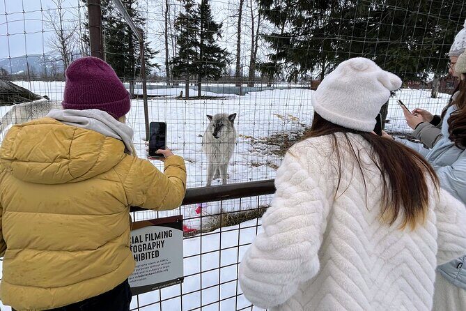 Escaping Anchorage Spring Wildlife Tour - Final Thoughts