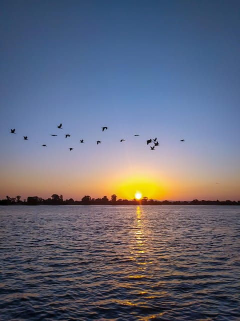 Escaroupim: 1 Hour Boat Trip, Guided Tour - Wildlife Viewing Opportunities