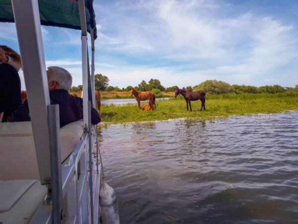 Escaroupim: 1 Hour Boat Trip, Guided Tour - Customer Feedback and Ratings