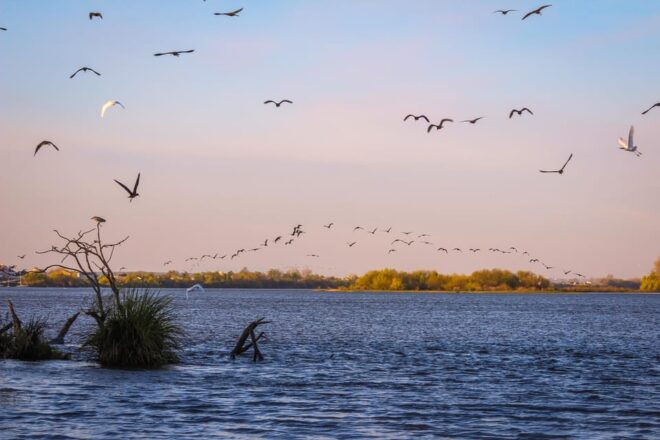 Escaroupim: 2 Hour Boat Trip, Guided Tour + Wine Tasting - Scenic Highlights