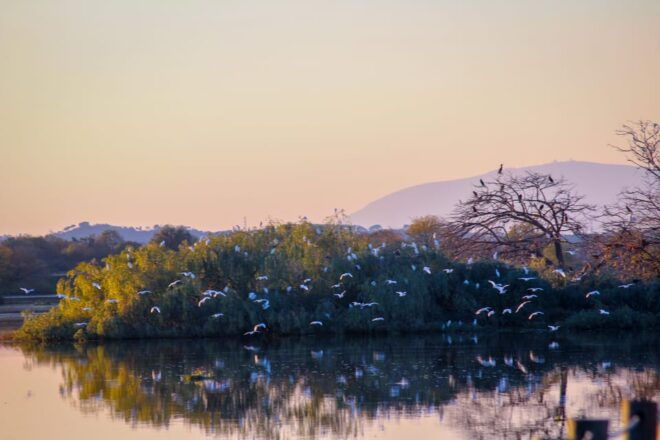 Escaroupim: 2 Hour Boat Trip, Guided Tour + Wine Tasting - Wine Tasting Experience
