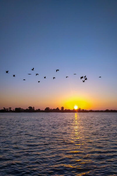 Escaroupim: 2 Hour Boat Trip, Guided Tour + Wine Tasting - Booking Details