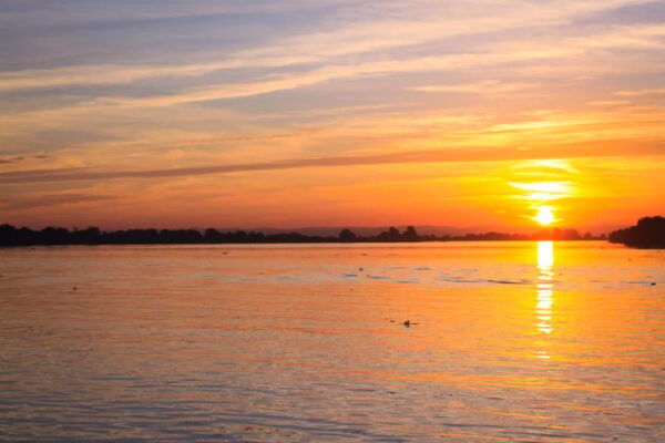 Escaroupim: 2 Hour Boat Trip, Guided Tour + Wine Tasting - Safety and Cleanliness Standards