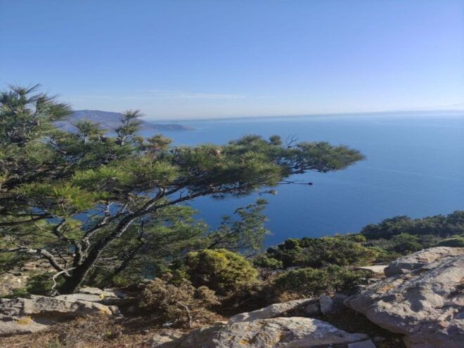 Escorted Sun Rise Hiking Tours - Inclusions