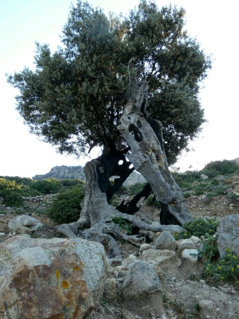 Escorted Sun Rise Hiking Tours - Important Information