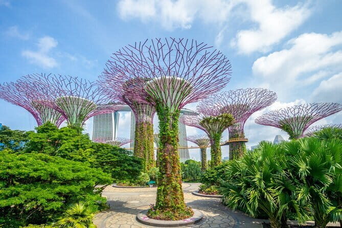 eSIM 4G/5G Data for Asia 8 Areas Singapore Thailand MY VN HK TW - Practical Benefits for Travelers