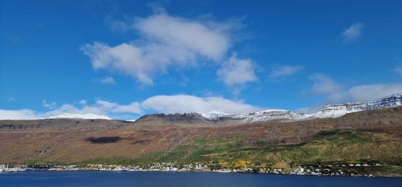 Eskifjörður: Guided Walking Tour with Local Storyteller - In-Depth Breakdown of the Tour