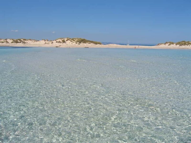 ESPALMADOR SNORKELING TOUR DE 15:45 HASTA LAS 19:30 - Introduction