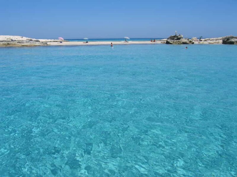 ESPALMADOR SNORKELING TOUR DE 15:45 HASTA LAS 19:30 - Good To Know