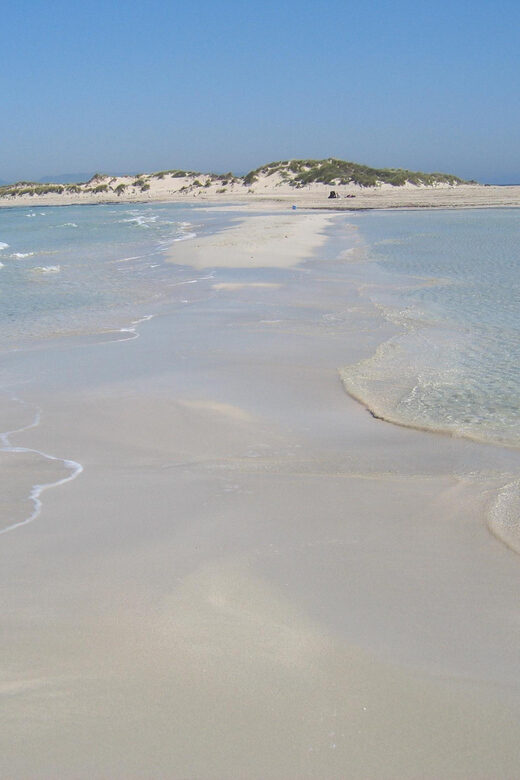 ESPALMADOR SNORKELING TOUR DE 15:45 HASTA LAS 19:30 - Real Experiences & Insights from Travelers