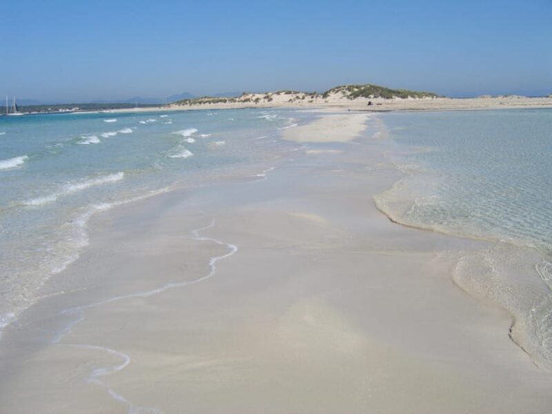 ESPALMADOR SNORKELING TOUR DE 15:45 HASTA LAS 19:30 - The Sum Up: Is This Tour Worth It?