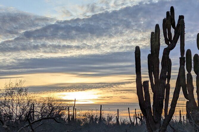 Espíritu Santo Adventure Private Tour - Good To Know  