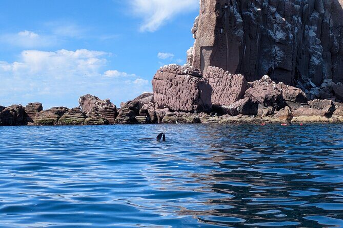 Espíritu Santo Adventure Private Tour - Who Will Love This Tour?  