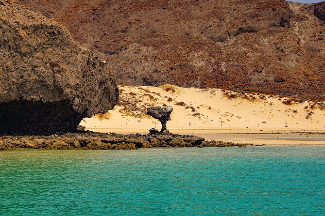 Espíritu Santo and Balandra Beach Combo Tour: Sea Lion Snorkeling - Who Will Love This Tour?