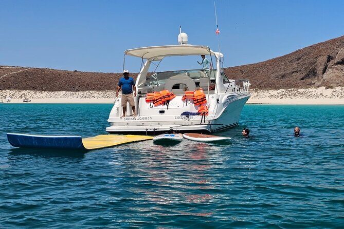 Espiritu Santo and Sealion Swimming aboard a luxury yacht - Good To Know