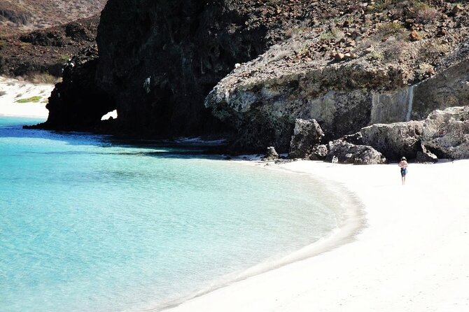 Espiritu Santo Island All Inclusive Sailing Trip From Los Cabos - Common Questions