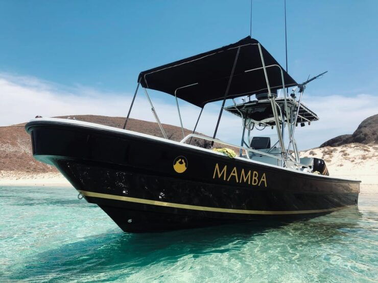 Espiritu Santo Island: Private Boat Trip & Sea Lions - Interaction With Sea Lions