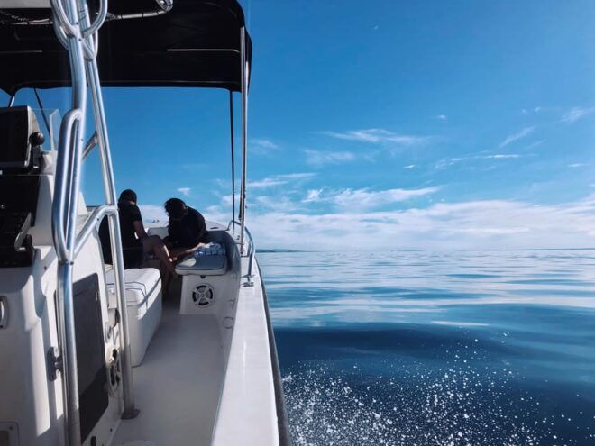 Espiritu Santo Island: Private Boat Trip & Sea Lions - Snorkeling Availability