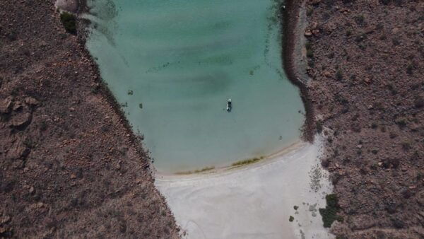 Espiritu Santo Island: Private Boat Trip & Sea Lions - Frequently Asked Questions