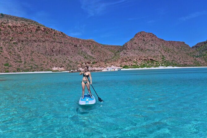 Espiritu Santo Island Private Tour: Sea Lions and paddle boarding - Good To Know