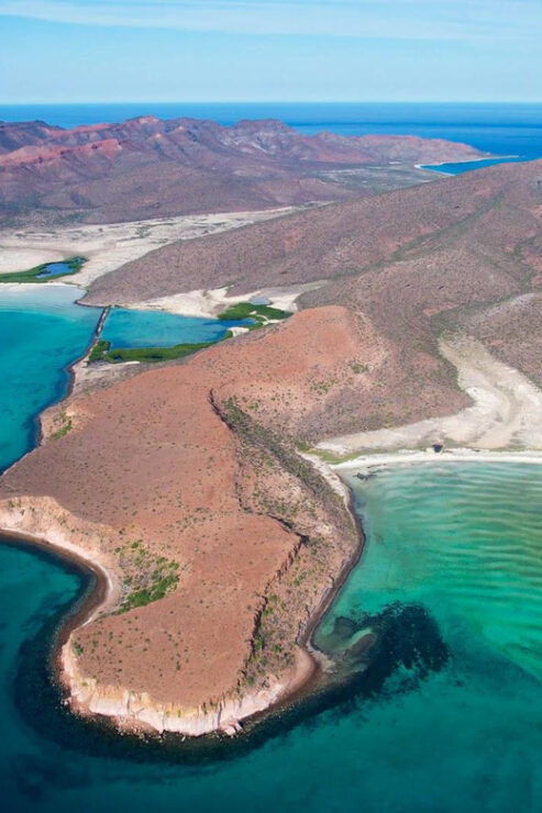 Espiritu Santo Island: Snorkeling Sea Lion Adventure - Itinerary Highlights