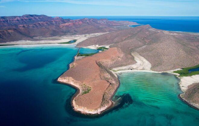 Espiritu Santo Island: Snorkeling Sea Lion Adventure - Included Services