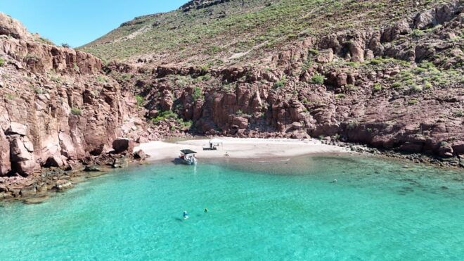 Espiritu Santo Island: Snorkeling Sea Lion Adventure - Important Information